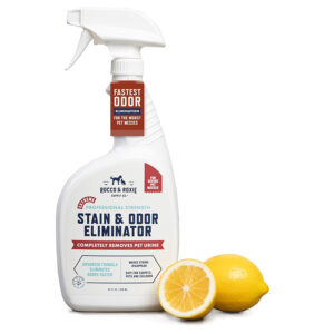 Rocco & Roxie Extreme Stain & Odor Eliminator for Strong Odor, Pet Urine Enzyme Cleaner Destroyer, Stain Remover for Dog Poop and Cat Pee, Enzymatic Carpet Cleaner Spray For Home, Puppy Potty Training
